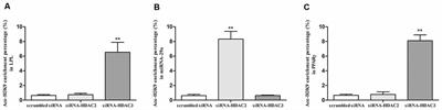 Exploration of the Molecular Mechanism for Lipoprotein Lipase Expression Variations in SH-SY5Y Cells Exposed to Different Doses of Amyloid-Beta Protein